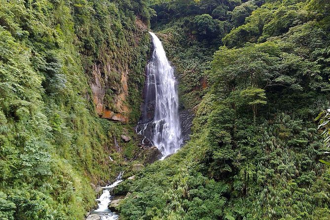 1D Tour to Cingjing Farm from Taichung - Key points before you book