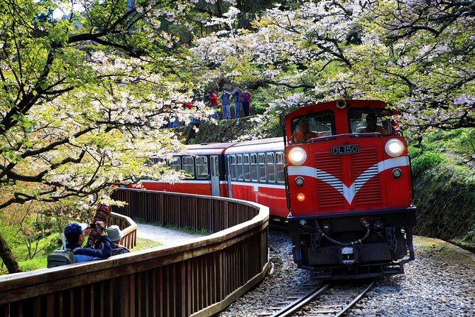 8 Day Private Tour Around Taiwan - Sun Moon Lake and Alishan connect culture with forest
