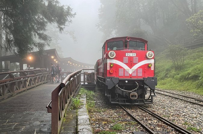 Alishan Day Tour from Chiayi (Incl. Park Entrance) - Sister Ponds, Magnolia Garden, and the forest paths