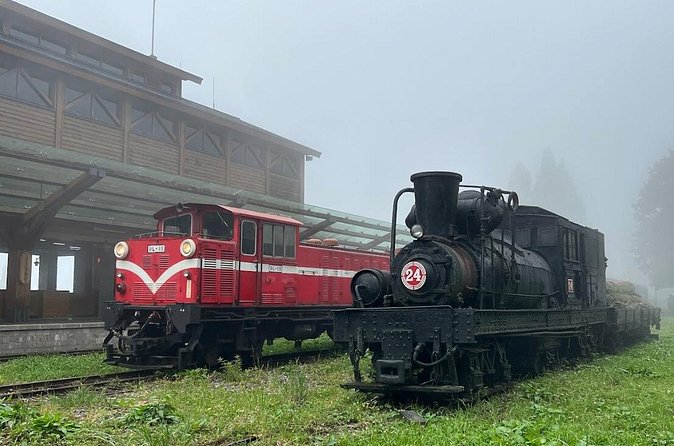 Alishan Day Tour from Chiayi (Incl. Park Entrance) - What the guides add to the day
