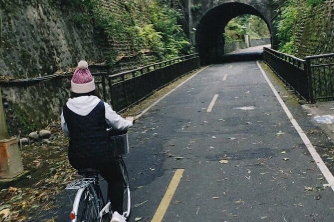 Alishan Join In Day Tour from Taichung (Incl. Park Entrance) - The optional Alishan train ticket