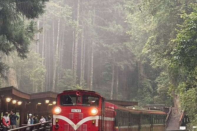 Alishan One Day Tour from Taichung - Why Alishan makes a worthwhile day trip from Taichung