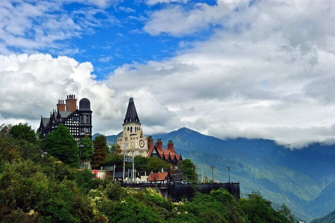 Alishan One Day Tour from Taichung - Group size, comfort, and guide quality