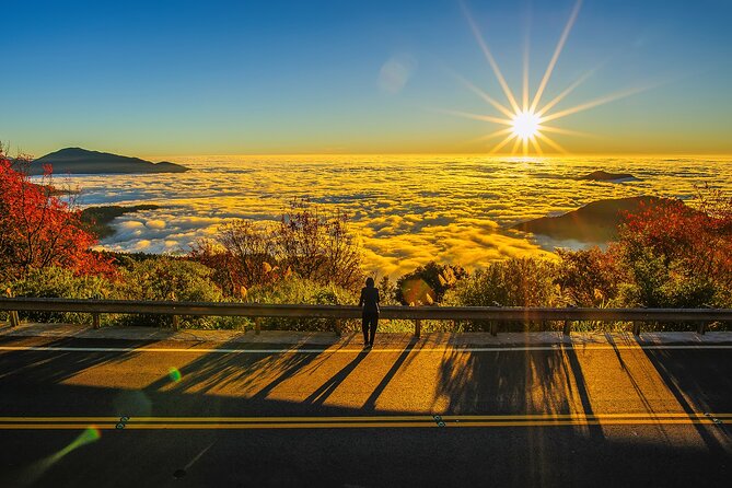 Alishan Taiwan 2 Day Private Tour from Taipei - Hinoki Village and Japanese-era buildings