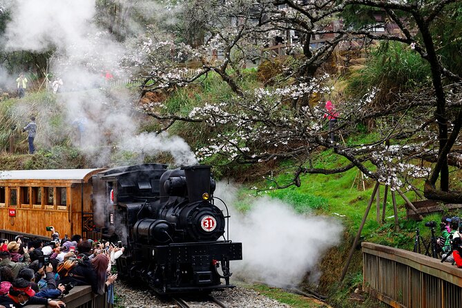 Alishan Taiwan 2 Day Private Tour from Taipei - What the $600 price really covers