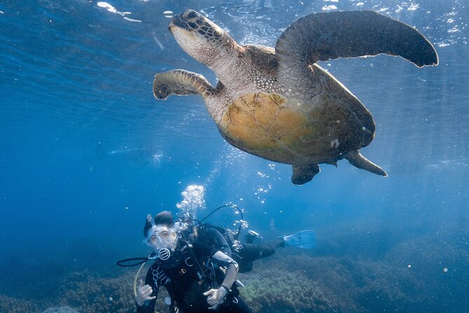 Discover Scuba Diving With Sea Turtles – Xiaoliuqiu, Taiwan - Learning the basic skills before going underwater
