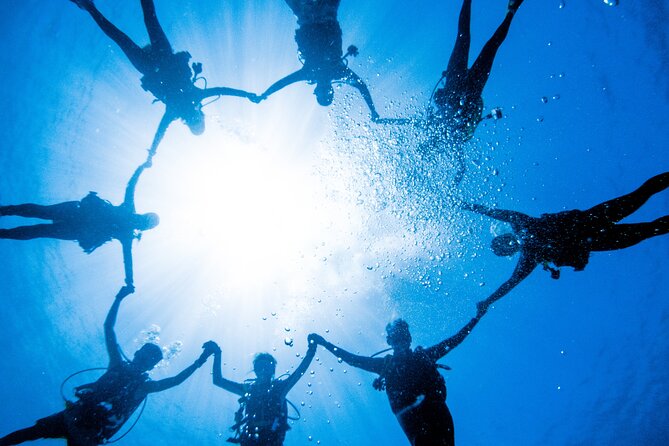 Discover Scuba Diving With Sea Turtles – Xiaoliuqiu, Taiwan - Who will enjoy this experience most