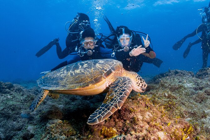 Discover Scuba Diving With Sea Turtles – Xiaoliuqiu, Taiwan - Who may want to choose something else