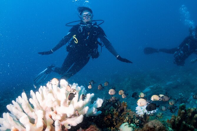 Discover Scuba Diving With Sea Turtles – Xiaoliuqiu, Taiwan - Planning around weather and cancellation