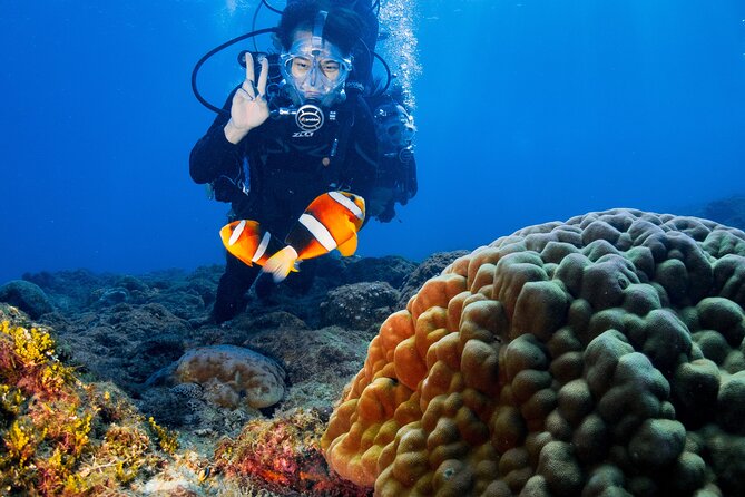 Discover Scuba Diving With Sea Turtles – Xiaoliuqiu, Taiwan - Meeting at Liuqiu Township and getting ready