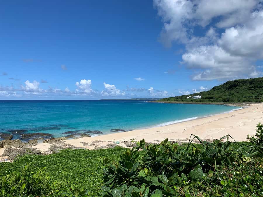 From Kaohsiung: Kenting & Ocean Coast Private Day Tour - Starting with sea life at the National Museum of Marine Biology