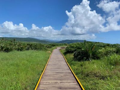 Kenting & Ocean Coast Private Day Tour