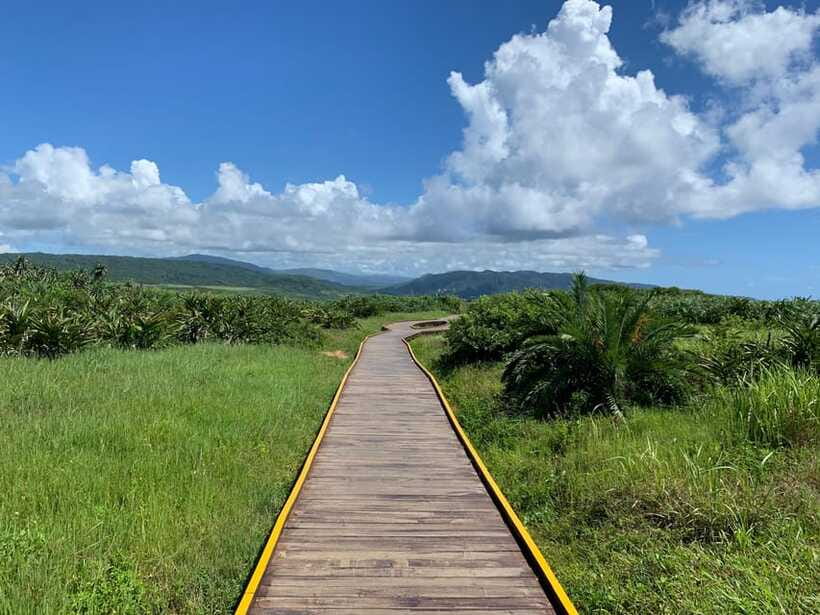 From Kaohsiung: Kenting & Ocean Coast Private Day Tour - Who should book this Kenting day trip?