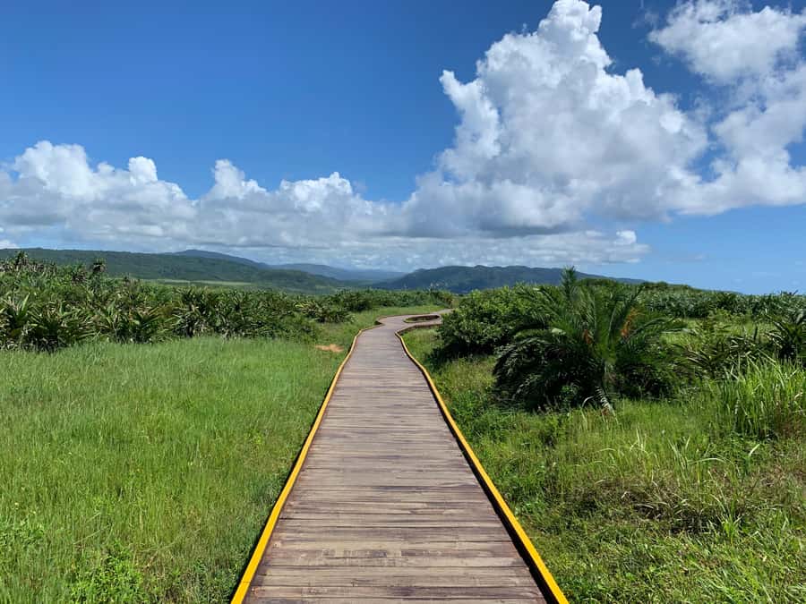 From Kaohsiung: Kenting & Ocean Coast Private Day Tour - Sail Rock Beach and the value of an unhurried stop