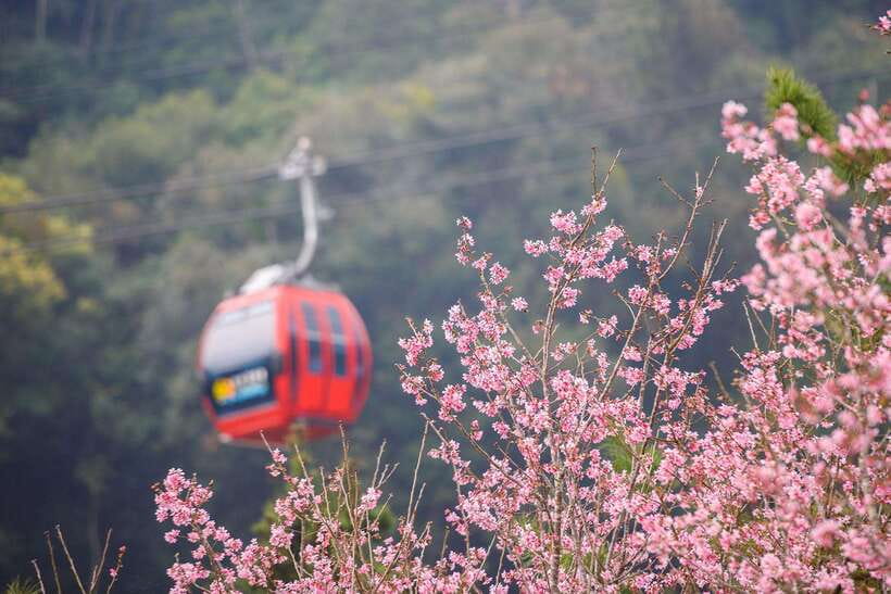 From Taipei: 1 Day Sun Moon Lake Private Tour - Booking details worth checking