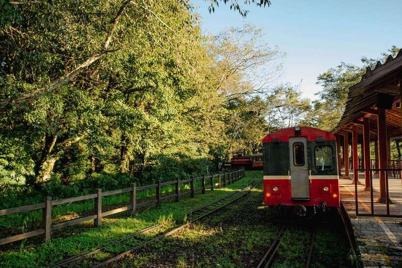From Taipei City: 3-Day Sun Moon Lake & Alishan Private Tour - Who should book this three-day route?