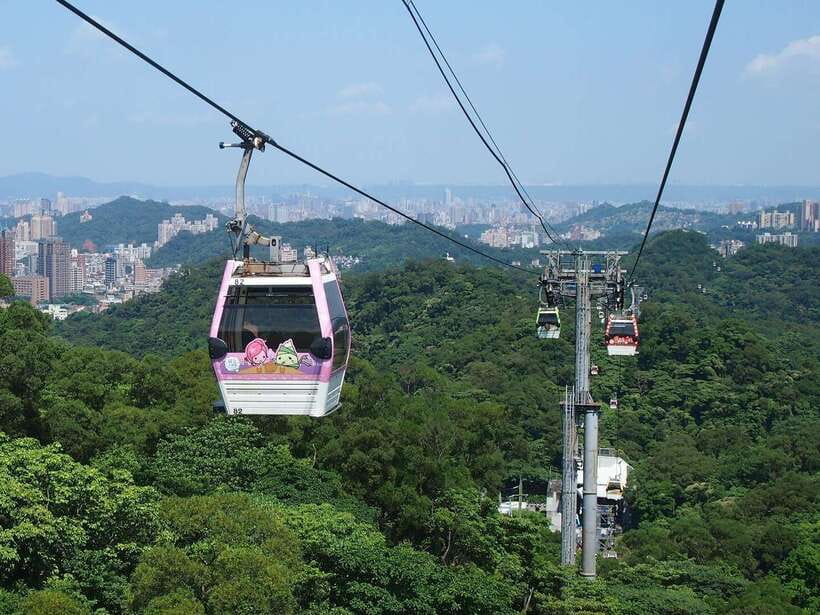 From Taipei: Pinglin Tea Culture and Maokong Guided Day Tour - A short stop at the Taipei Tea Promotion Center