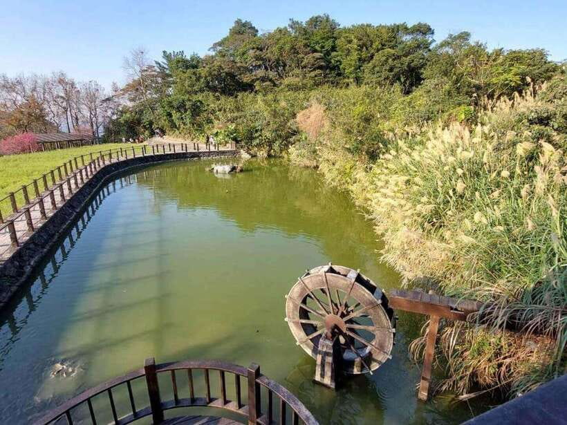 From Taipei: Pinglin Tea Culture and Maokong Guided Day Tour - Lunch in Maokong is flexible, but not included