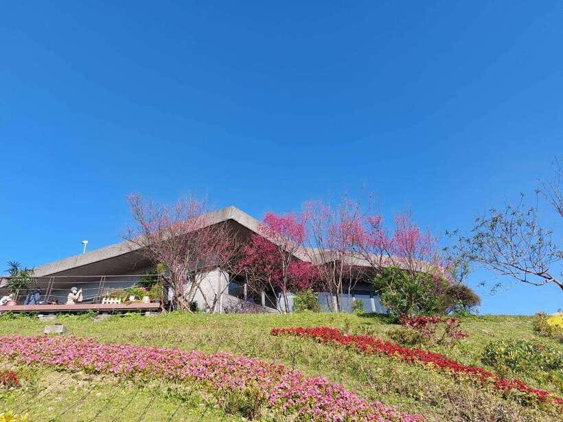 From Taipei: Pinglin Tea Culture and Maokong Guided Day Tour - Shiding and the view over Thousand Island Lake