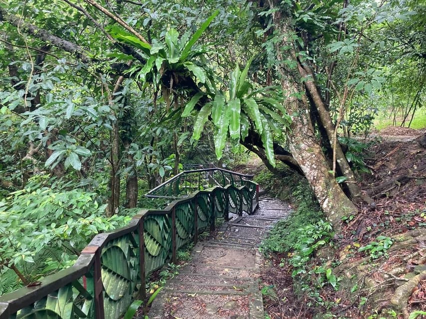 From Taipei: Pinglin Tea Culture and Maokong Guided Day Tour - The tea tasting is the day’s quiet center