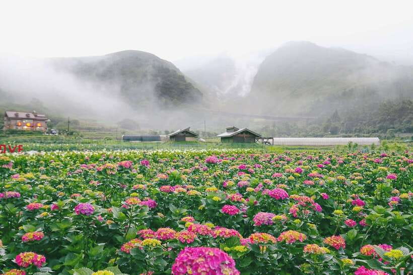 From Taipei: Private Yangmingshan Volcano and Nature Tour - Why Yangmingshan makes a good half-day from Taipei