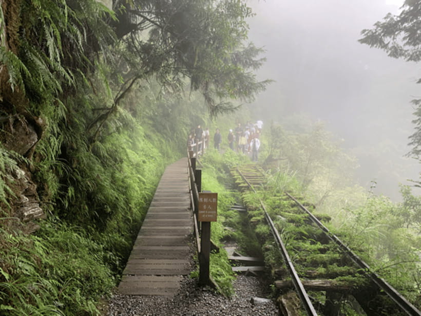 From Taipei: Taipingshan National Forest Private Day Tour - Key points before you book