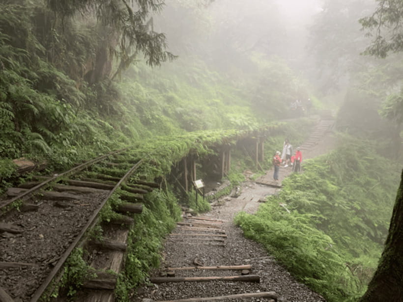 From Taipei: Taipingshan National Forest Private Day Tour - Taipingshan’s forestry past and mountain railway
