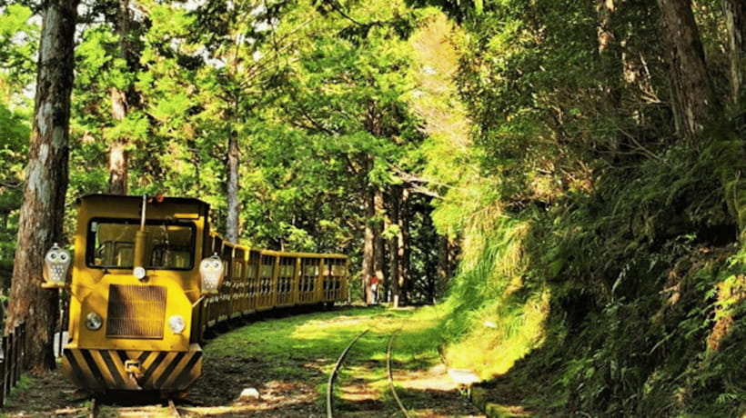 From Taipei: Taipingshan National Forest Private Day Tour - Walking the Jianqing Huaigu Trail