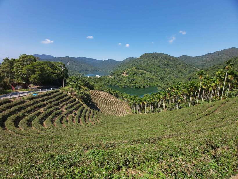 From Taipei: Thousand Island Lake and Pinglin Tea Plantation - Transport, comfort, and group size