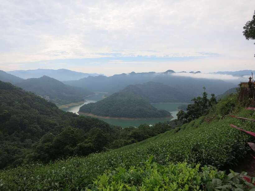 From Taipei: Thousand Island Lake and Pinglin Tea Plantation - Bagua Tea Garden and the geometry of tea farming