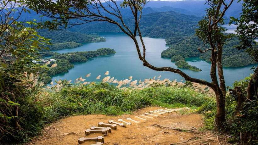 From Taipei: Thousand-Island Lake & Tea Museum Private Tour - Walking through the Bagua tea fields