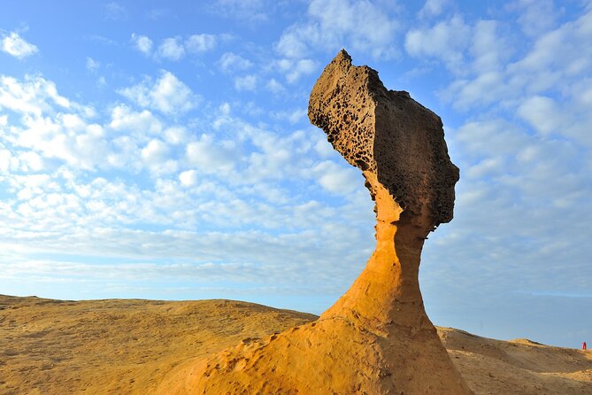 Full-Day Private Tour in Northern Taiwan - Yehliu Geopark and the coast shaped by nature