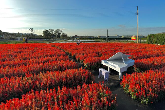Gaomei Wetlands, Rainbow Village, Miyahara & Zhongshe from Taipei - Leaving Taipei for Taichung