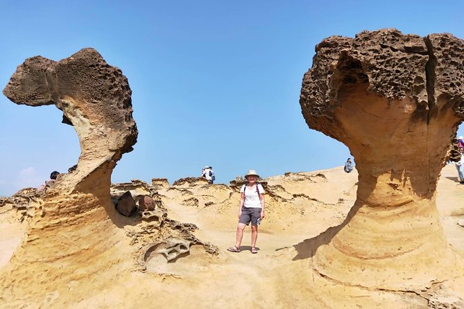 Half Day Private Tour to Yangmingshan National Park and Yehliu Geopark - Key points at a glance