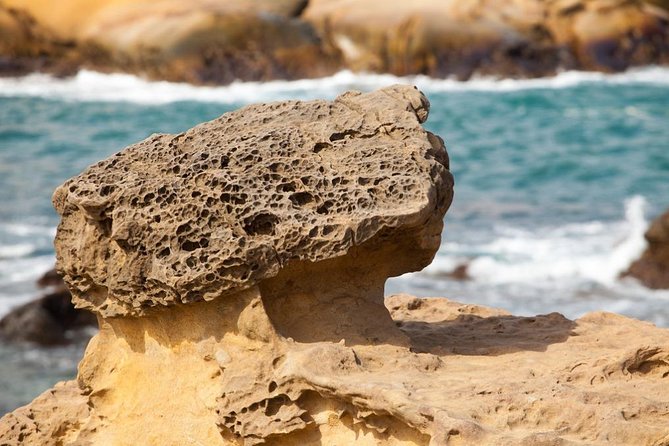 Half Day Private Tour to Yangmingshan National Park and Yehliu Geopark - Vehicle comfort and the value of private travel
