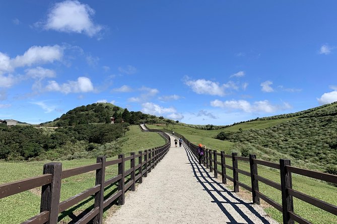 Half Day Private Tour to Yangmingshan National Park and Yehliu Geopark - Who should book this private outing