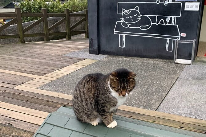 Jiufen, Shifen and Houtong Cat Village Private Tour - Why this private route works from Taipei