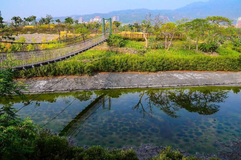 Kaohsiung: Private Walking Tour with a Local - The value of a $48 private walk