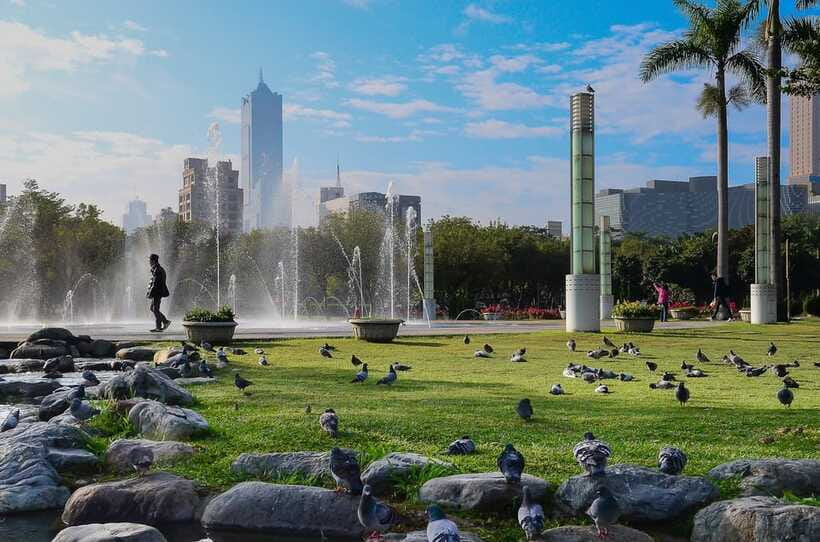 Kaohsiung: Private Walking Tour with a Local - Timing, cancellations, and practical planning