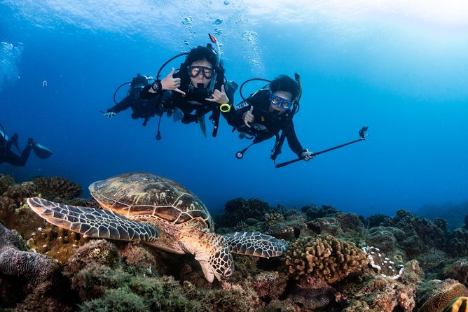 Kenting, Taiwan|PADI Basic Diving License Course|Taiwan Diving Open Water Course - What the equipment and small classes mean