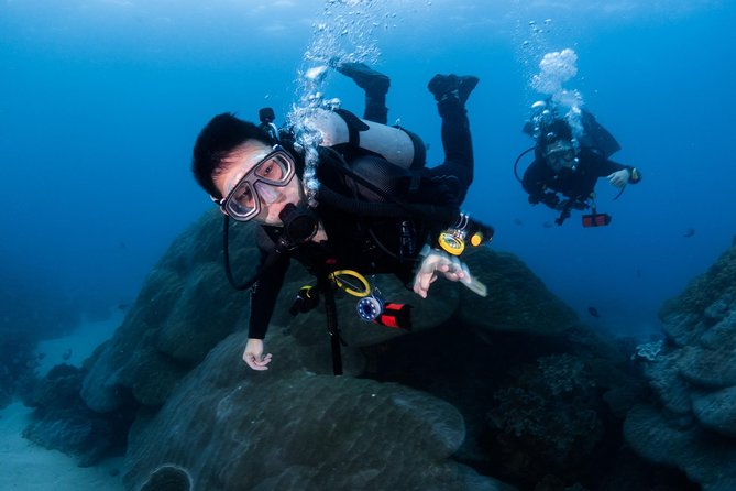 Kenting, Taiwan|PADI Basic Diving License Course|Taiwan Diving Open Water Course - Who should take this course