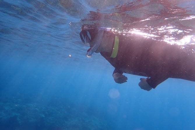Kenting, Taiwan｜Snorkeling Free underwater photography One-on-one with instructor｜Taiwan Diving Snorkeling - What the small group ratio means