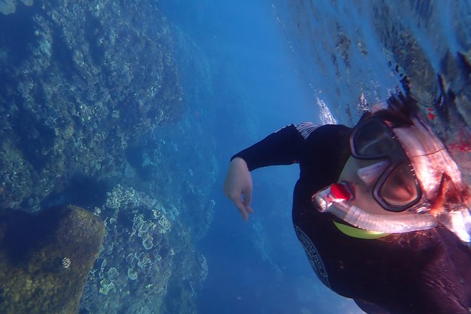 Kenting, Taiwan｜Snorkeling Free underwater photography One-on-one with instructor｜Taiwan Diving Snorkeling - Returning to the shop for a certificate