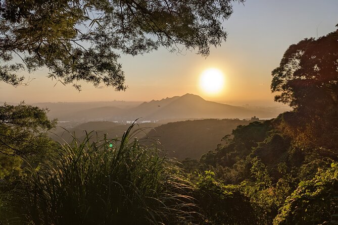 One Day Hike around Taipei's Yangmingshan National Park - Forest trails, Lengshuikeng pond, and Jingshan suspension bridge