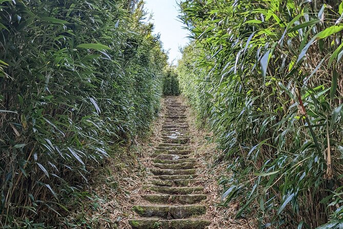 One Day Hike around Taipei's Yangmingshan National Park - Who should book this Yangmingshan hike