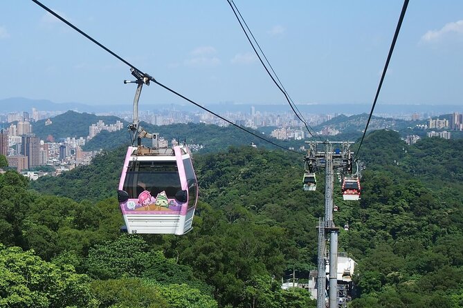 Pinglin Tea Culture & Maokong Day Tour from Taipei - Guides, vehicles, and the pace of the day