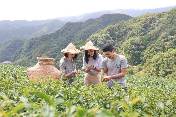 Private 1-Day Tea Experience in Taipei - Key points for your Pinglin tea day
