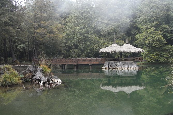 Private 3-Day Tour to Sun Moon Lake and Alishan - Who should book this Taiwan mountain trip?