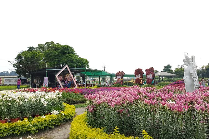 Private Day tour to Sun Moon Lake from Taipei - Who will get the most from this outing