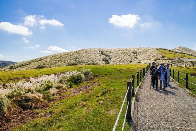 Private Yangmingshan & Beitou Tour from Taipei with Pickup - Beitou Thermal Valley, where the day turns steamy